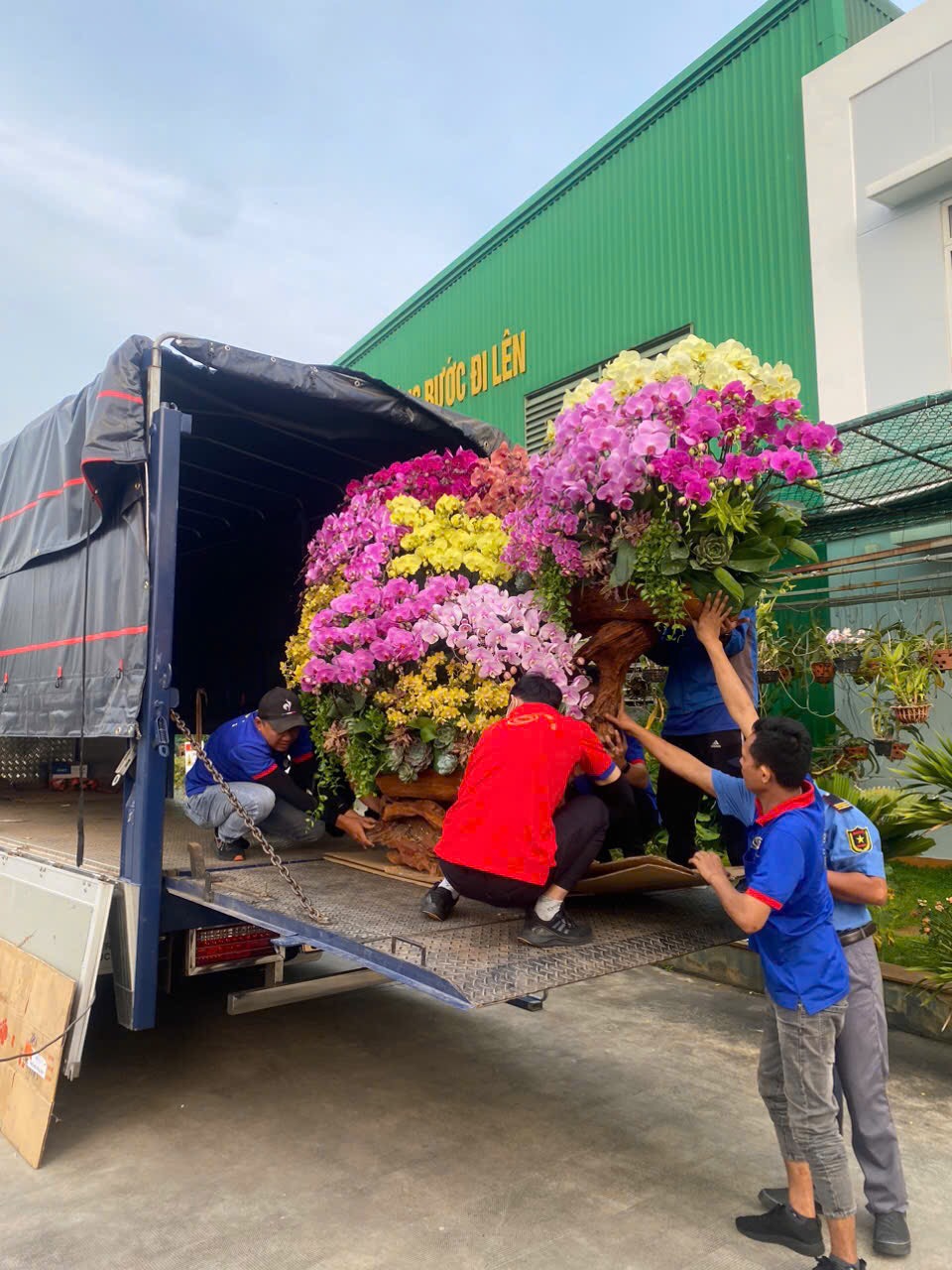 Thuê xe tải chuyên dụng chở cây hoa, giao hoa đẹp ở TPHCM