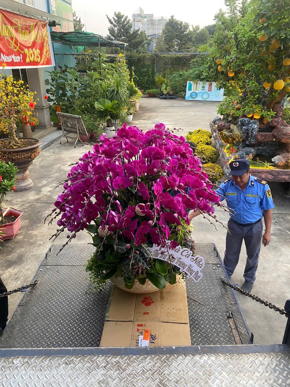 Xe bàn nâng được trang bị hệ thống nâng hạ tự động giảm sốc tránh rụng hoa