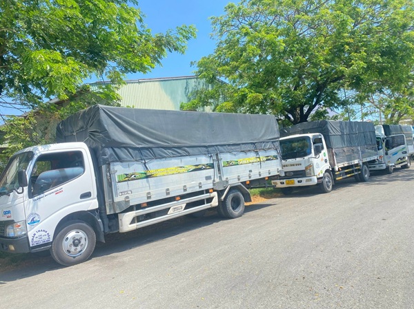 Cho Thuê 1 Đến 2 Xe Tải Chuyển Văn Phòng