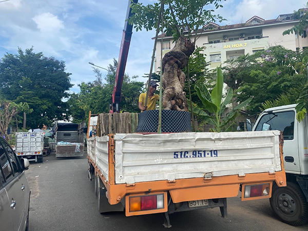 Dịch Vụ Xe Tải Nhận Giao Hàng, Chuyển Hàng Nhanh Giá Tốt
